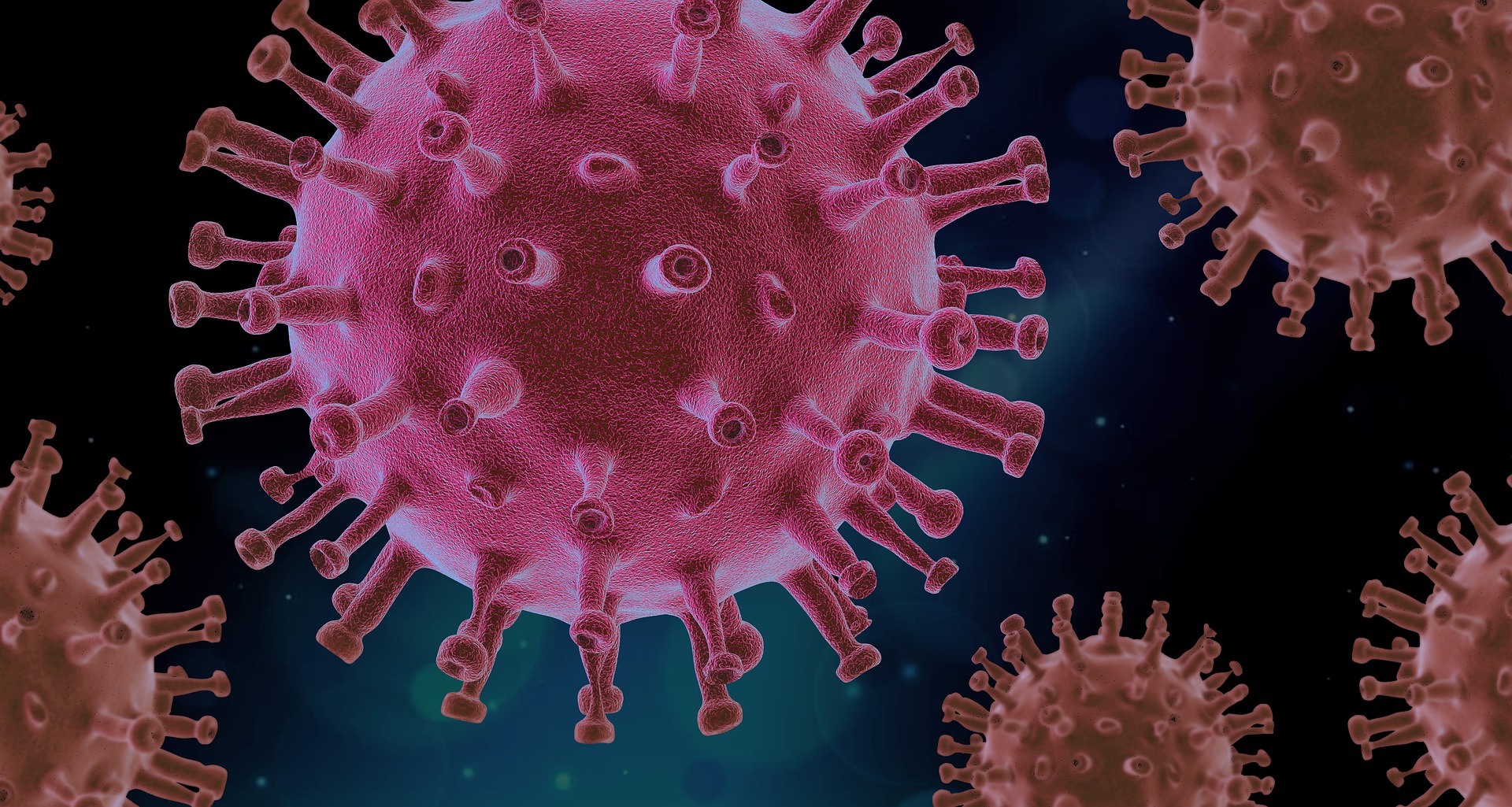 Nuovo test per la rilevazione di immunità cellulare specifica per il Sars-Cov-2